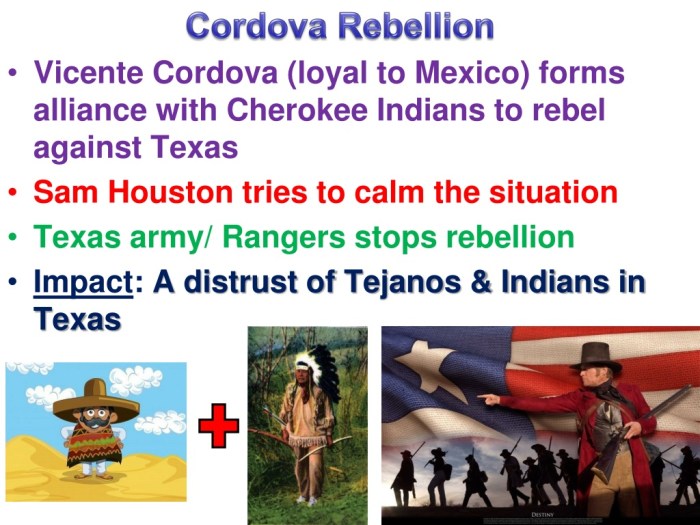 What is the cordova rebellion