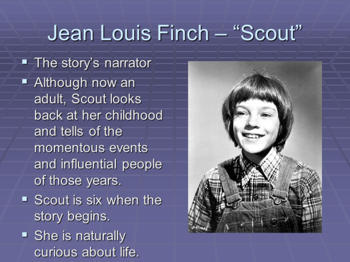 Quotes by scout finch in to kill a mockingbird